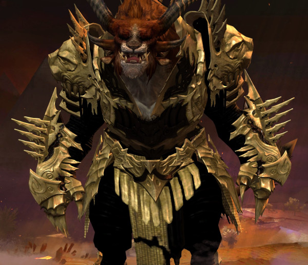 Wuus Guerrier sur GW2