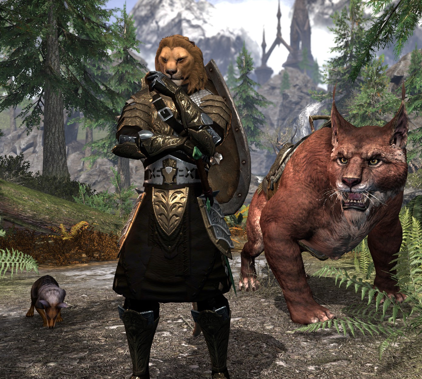 Wuus Templier sur TESO